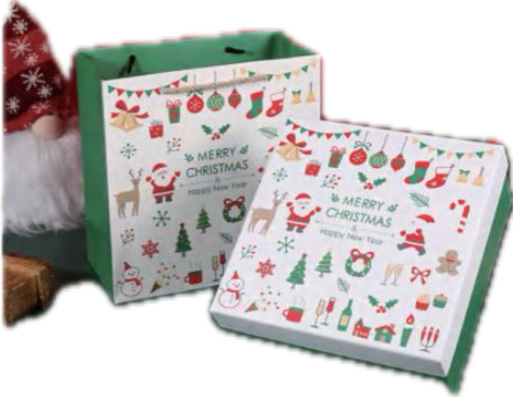 Christmas Gift Bag with Paper Bag Set