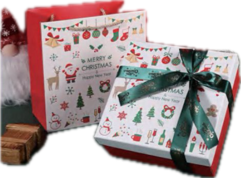 Christmas Gift Bag with Paper Bag Set