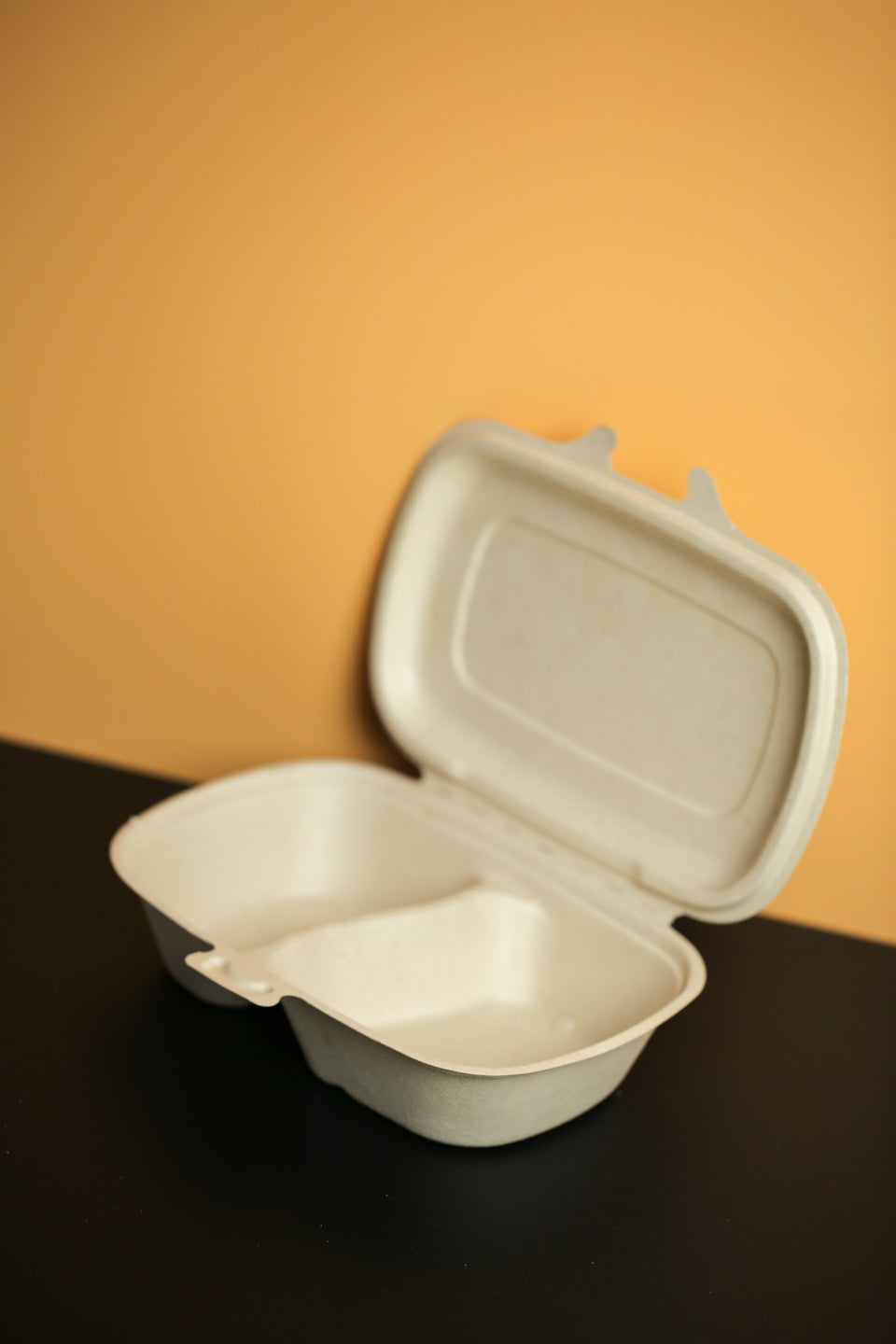 Eco - Pulp Container