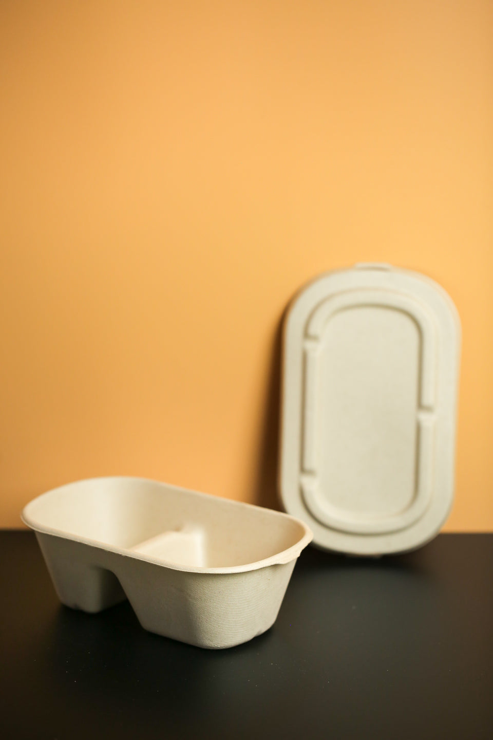 Eco - Pulp Container