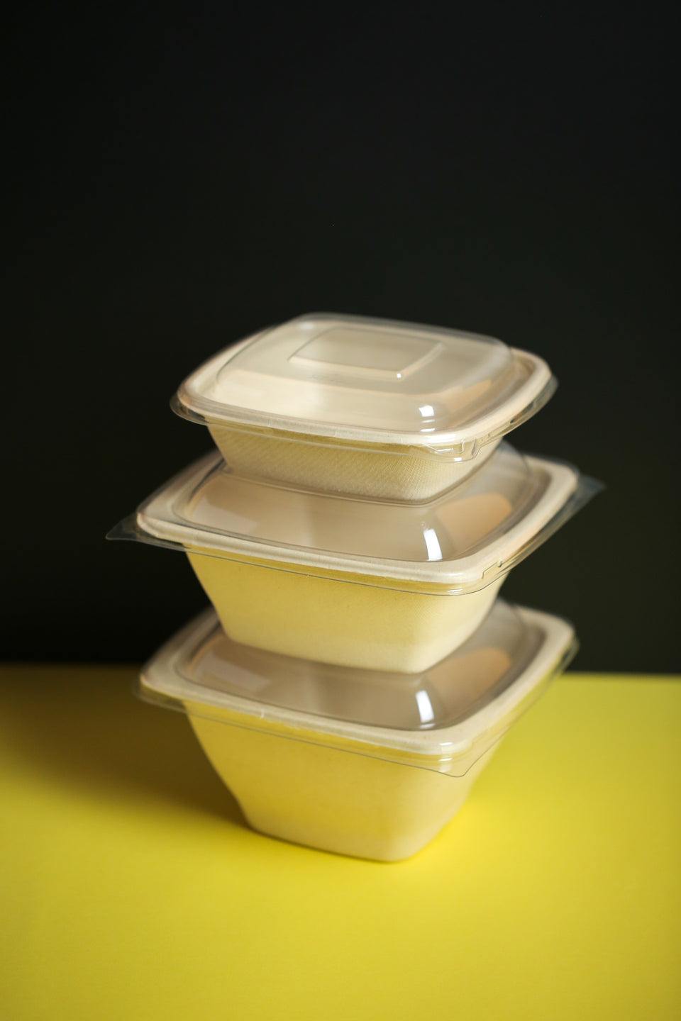 Eco - Pulp Container