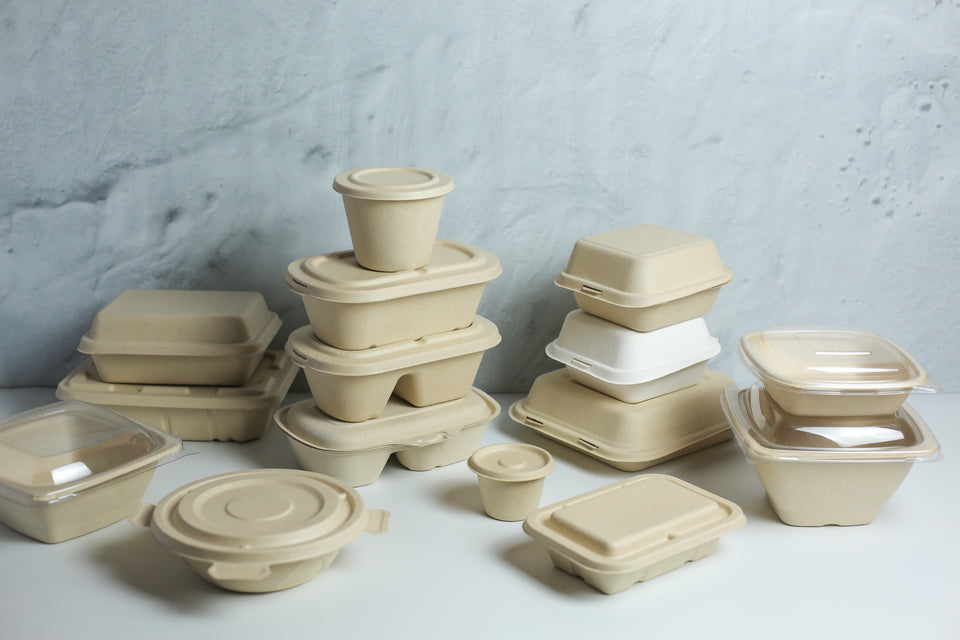 Eco - Pulp Container