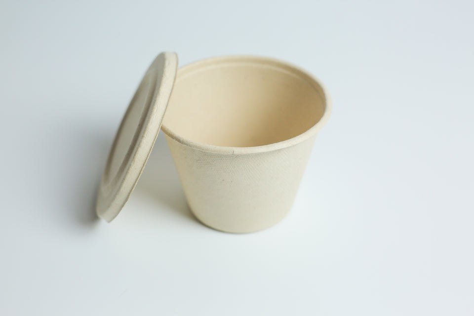 Eco - Pulp Container