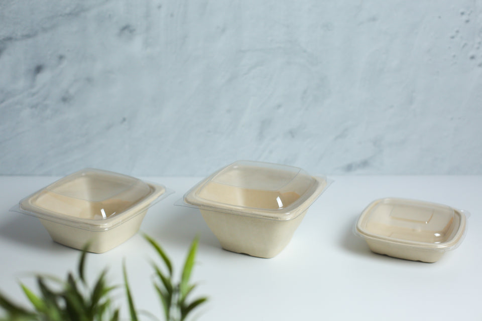 Eco - Pulp Container