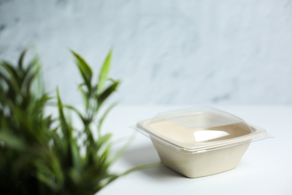 Eco - Pulp Container