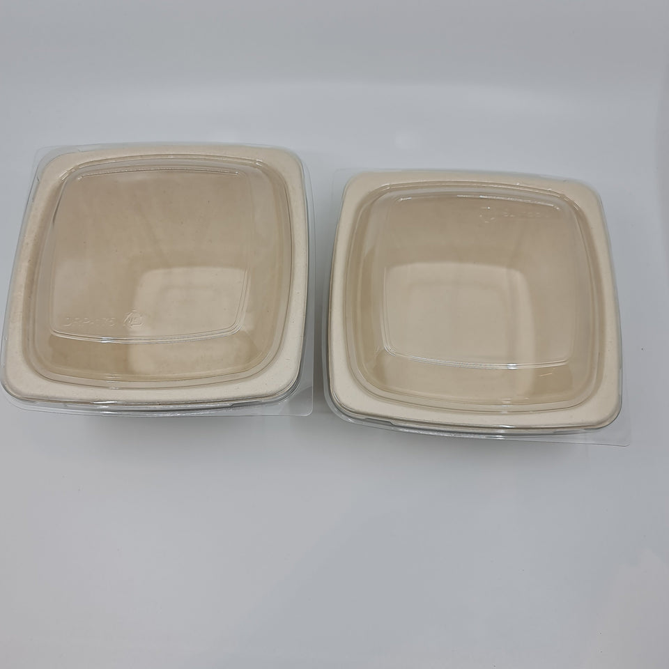 Eco - Pulp Container
