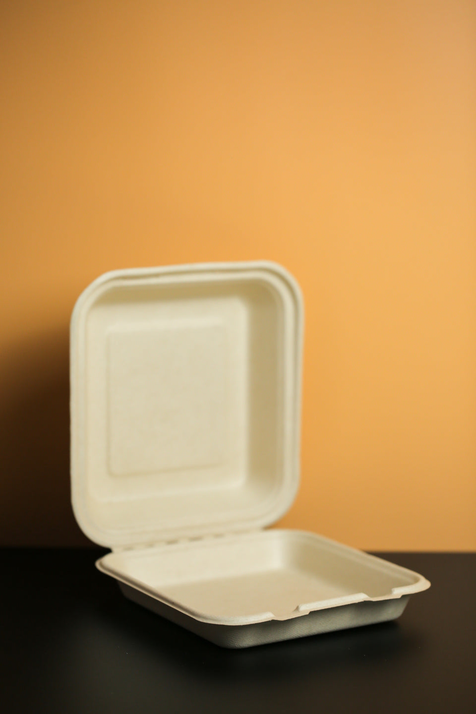 Eco - Pulp Container