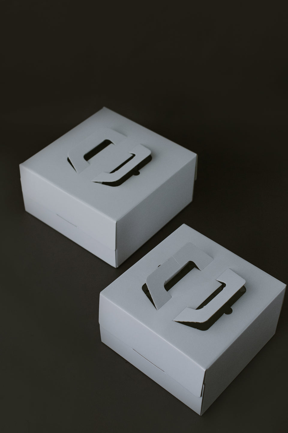 Cake Box- White