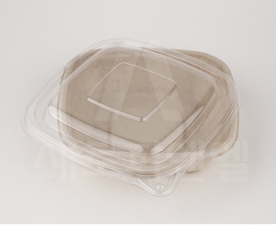 Eco - Pulp Container