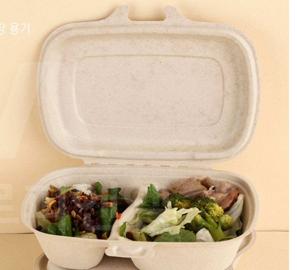 Eco - Pulp Container