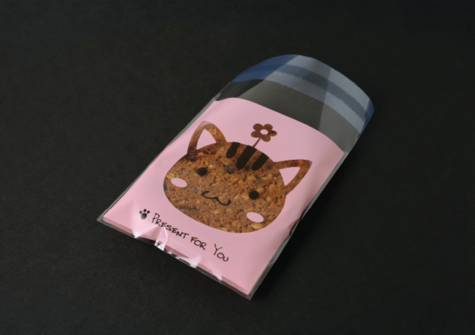 Plastic Pouch - With Adhesive -